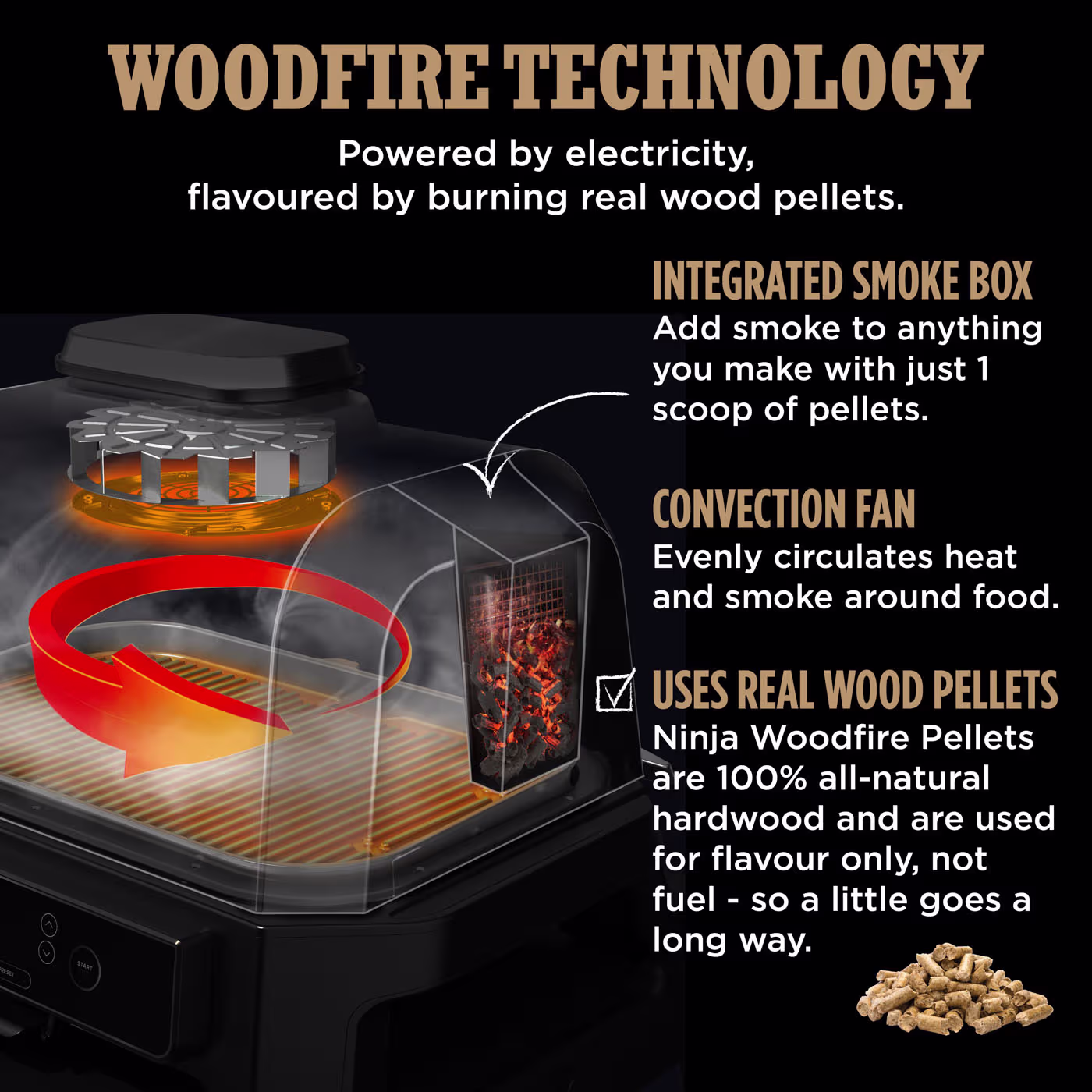 Ninja WoodFire XL Electric BBQ & FrostVault 47L Cooler Bundle